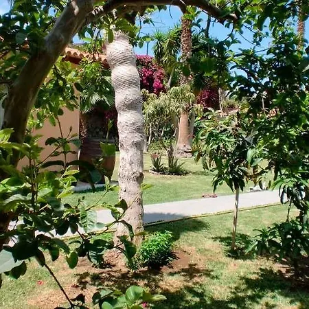 Fur 4 Auf Finca - F4047 - #92430 * Icod De Los Vinos